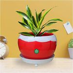 TrustBasket Table Top Planter Bowl with Saucer - Red | Flower Planter for Home, Office, Living Room, Balcony, Garden Decoration, Best for Indoor Plantation