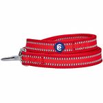 Blueberry Pet Dog Leash