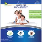 Four Seasons Essentials Queen Mattress Protector - Zippered Bedbug Waterproof Mattress Cover, Premium Quality Hypoallergenic Bed Encasement White