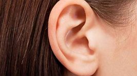 Ear Drop For Tinnitus