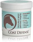 COAT DEFENSE Trouble Spot Drying Pa