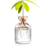 Lawei Glass Avocado Seed Starter Vase, Sprouting Seed Starter Planter Pot, Avocado Tree Growing Kit, Glass Bulb Propagation Flowers Pot, Aqua Culture Vases Garden Flower Vase Pot for Planter Lovers