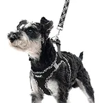 PUPTECK Dog Harness and Leash Set f