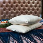 ORGANIC SLEEP Shredded Natural Pillow, 100% Natural Latex, Size 24x16Inch, Thickness 6", Density 45, Pincore Technology & Bounce Back Property, Breathable, Pack of 2 with Cotton Cover