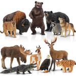 Toymany 12PCS North American Forest Animal Figurines, Realistic Jungle Animal Figures Set Includes Raccoon,Lynx,Wolf,Bear,Eagle, Educational Toy Cake Toppers Christmas Birthday Gift for Kids Toddlers