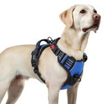 rabbitgoo Dog Harnesses for Large Dogs, No Pull Pet Harness with 3 Buckles, Adjustable Soft Padded Dog Vest with Instant Control Handle, Easy Walking Reflective Pet Vest, Blue, L