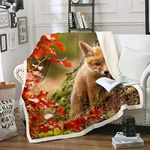 Loussiesd Cute Fox Print Fleece Blankets 3D Animal Theme Throw Blanket for Couch Sofa Travel Woodland Fox Sherpa Blankets Stain Resistant Room Decor Nature Autumn Single 50"x60" Fuzzy Blanket