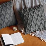 Pagnanno. Set of 2 Soft Velvet Cushion Covers 40x40cm(16x16 Inches) Fluff Throw Pillowcases Square Cushion Covers for Chairs,living room,bedroom with Invisible Zipper (16"x16" (Pack of 2), Dark Grey)