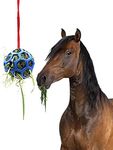 Hanging Feeding Treat Ball for Horse ,Hay Feeder Toy Ball for Horse?Goat Sheep Relieve Stress,Horse Stable Stall Paddock Rest (Blue)