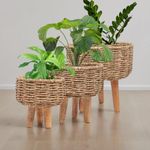 Greenarium Jute Rope Planters Highly Durable Plant Container Gamla for Indoor Home Decor & Outdoor Balcony/Garden Flower Pot, Set of 3