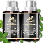 ORGANIC NILGIRIS - Live with Radiant Heath Pure Natural Peppermint Essential Oil:Undiluted Therapeutic Aroma for Revitalizing Moments,Aromatherapy Bliss, Diffuser Use,Skin Care,&Hair Fall Support-30ml