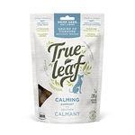 True Leaf Calming Support Chew 200G