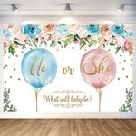 Baby Gender Reveal Party Decoration Baby Shower Backdrop Photo Background Banner Poster for Baby Gender Reveal Party Decorations Party Supplies 70.8 x 47.2 Inch