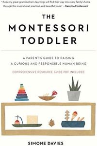 The Montessori Toddler