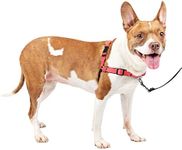 PetSafe Easy Walk Deluxe Dog Harness, No Pull Dog Harness – Perfect for Leash & Harness Training – Stops Pets from Pulling and Choking on Walks – Medium, Rose