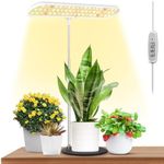 FOXGARDEN Grow Light, Full Spectrum LED Plant Light with Base, 26" Height Adjustable Growing Lamp with Auto On/Off Timer 4H/8H/12H, 4 Dimmable Brightness, Ideal for Home Desk Plant Lighting