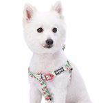 Blueberry Pet New Step-in Spring Scent Inspired Floral Rose Print Turquoise Dog Harness, Chest Girth 51cm-66cm, Medium, Adjustable Harnesses for Dogs