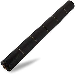 DeWitt 6 x