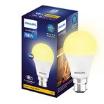 PHILIPS 18-watt LED Bulb |AceBright High Wattage LED Bulb|Base: B22 Light Bulb for Home | Warm White, Pack of 1