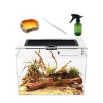 Reptile Growth Mini reptile tank,12" x 7"x 9" vivarium with Top Sliding Door Screen Ventilation for Small Fish,Insect,Snail,Gecko,Tarantula,Bearded Dragon,Jumping Spider,Stick Insect,Praying Mantis