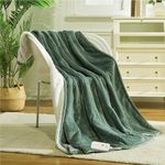 Templewet Heated Blanket Electric Throw 50" x 60" -Heated Throw Blanket with 4 Heating Levels & 3 Hours Auto Off,Machine Washable,ETL & FCC Certification,Over-Heat Protect（Lake Green）