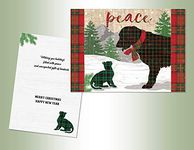 LPG PERFORMING ARTS BOXED CHRISTMAS CARD SET Peace Set of 18 cards with full color inside designs/18 envelopes (1 design per box), 52781