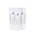 GE XWF Refrigerator Water Filter (3)