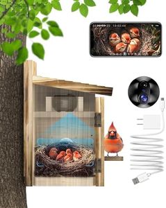 KinetCam B