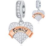 Family Forever Charms Dangle fits Pandora Mothers Day Bracelet, Family Heart Charms Pave Sparkle Clear CZ Birthstone Pendant in 925 Sterling Silver, Gifts for Dad/Mama/Sister