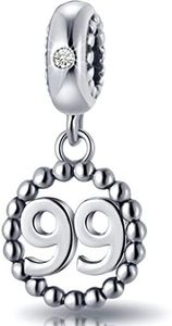 16,17,18,19,20,21,22,24,25,26,30,32,33,35,37,40,49,50,60,69,77,80,88,99 Number Charms 925 Sterling Silver Pendants Beads Fit Pandora Charm Bracelets/Necklace, Dangling Dangle Charm for Birthday/Anniversary/Meaningful Numbers, Sterling Silver