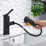HANLIAN Single Hole Pull Out Faucet