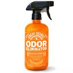 Furniture Cleaner For Pets