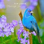 Tim Janis Morning Sunrise Volume On