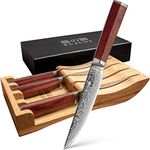 FUJUNI Steak Knives Set of 4 with in-Drawer Knife Block, 5 inch Damascus Steak Knife Set VG-10 Damascus Super Steel 67-Layer Non Serrated Steak Knives with Natural Wood Handle, Gift Box