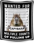 Capybara B