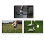 3 Pieces Golfing Leisure Artwork Home Office Canvas Wall Art Golf Course Sport Themed Landscape Picture for Gym Teens Boys Bedroom Wall Decor Framed 12x16inch