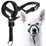 GoodBoy Dog Head Halter with Safety Strap - Stops Heavy Pulling On The Leash - Padded Headcollar for Small Medium and Large Dog Sizes - Head Collar Training Guide Included (Size 1, Black)