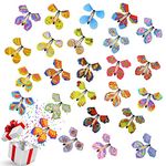 AhlsenL 25 PCS Flying Butterfly Toy, Flying Butterfly Wind up Butterfly Toy Butterfly Card Rubber Band Powered Toy for Wedding Birthday Party Book and Greeting Cards(Upgrade 25 Styles)