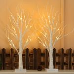 NOWSTO Lighted Birch Tree, 2 Pack 2FT Tree Indoor, Battery Operated Artificial Tree with 24 Warm White Lights, Inside Artificial Branch Tree for Christmas Home Wedding Decor Tabletop Tree Decoration