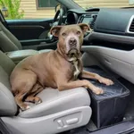 Front Seat Dog Extender and Car Storage | Prevents Your Dog from Falling Off The Front Seat While Driving | Travel Accessories for Pets | Extender and Car Accessories | Pet Platform