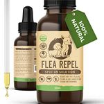 Natural Flea Control For Dogs