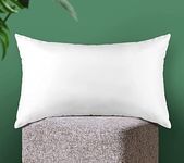 SAJAVAT HOME Super Soft Microfiber Pillow Filler | Luxurious Hypoallergenic Decorative White Pillow Insert for Couch, Bed, and Home Decor | 12x18 Inches (30x45 cm) | Pack of 1