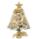 LOENIY 24In Tabletop Christmas Tree