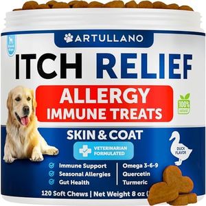 Dog Allerg