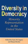 Diversity in Democracy: Minority Representation in the United States