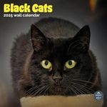 Baker and Bray Black Cats Calendar 2025, Large Square Wall Calendar, 16 Month, Black Cats Gift Cat Calendar.