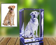 Personalized Custom 3D Photo Engraved Crystal Pet Gift (Small Rectangle)