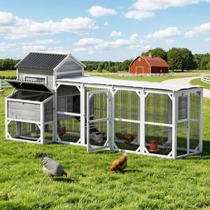 Jocisland 143.7" x 59.4" x 62.9" Wooden Chicken Coop with Run