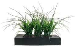 Vintage Home Green Grass in Contemporary Wood Planter