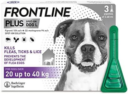FRONTLINE 